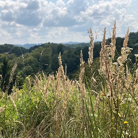 Vila Gradisca ヴィラ Gradišča