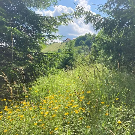 וילה Vila Gradisca