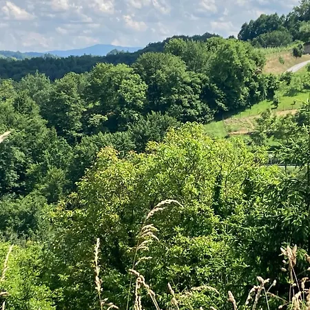 Vila Gradisca * Gradisca