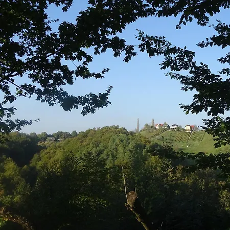 Vila Gradisca וילה *